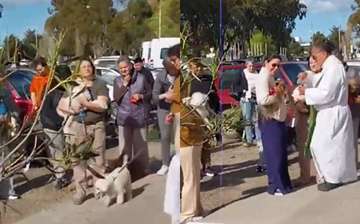 Decenas de mascotas fueron bendecidas en Rada Tilly