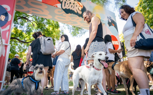 Convocan a emprendedores para colaborar con el primer Festival de Los Perros en Comodoro