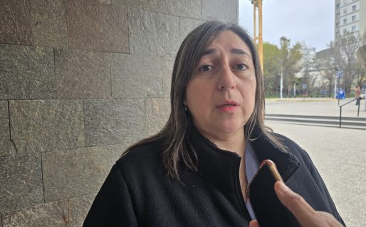 ​Alerta por superpoblación animal: Proteccionistas advierten sobre una drástica baja en las castraciones municipales