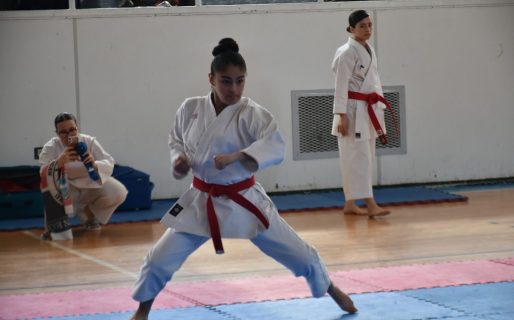 En Comodoro se vivió la 7ma. edición del Torneo Patagónico de Karate