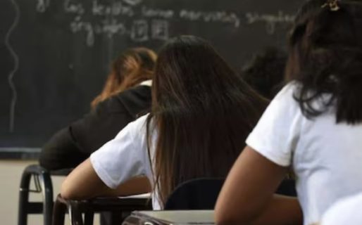 <strong>Solo 19 de cada 100 adolescentes argentinos llegan a los 15 años sin repetir y con aprendizajes básicos</strong>