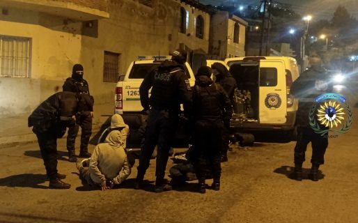 Cinco detenidos tras una persecución: Intentaron escapar pero dejaron plantas de cannabis en el auto