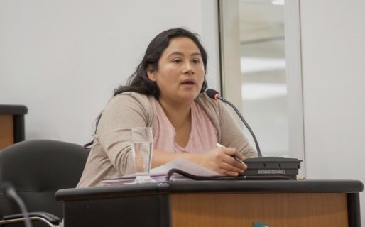 <strong>Transporte en zona norte: el nuevo pliego prevé ampliar recorridos y una conexión directa con el aeropuerto</strong>
