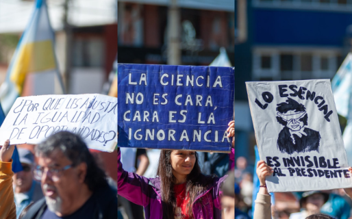 «La ciencia no es cara, cara es la ignorancia»: los carteles que marcaron el pulso de la marcha en Comodoro