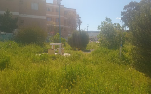 Vecinos del barrio Pueyrredón reclaman la limpieza de una plaza por el crecimiento descontrolado de los pastizales
