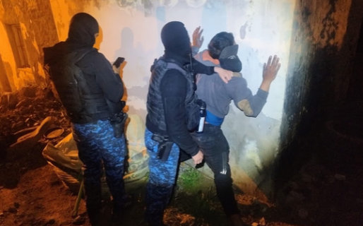 Robaron una ventana e intentaron llevarse una bacha: terminaron detenidos