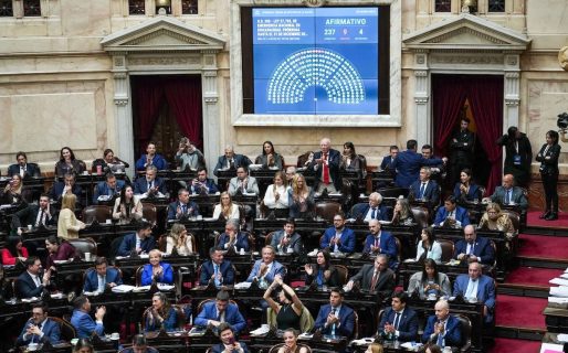 El Gobierno consiguió aprobar su proyecto de discapacidad con el respaldo del peronismo