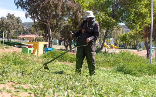 Prosiguen las tareas de reacondicionamiento de espacios verdes