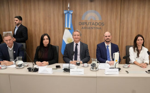 LLA aceptó restituir las restricciones a la venta de tierras a extranjeros para sellar la sanción de la ley de propiedad privada