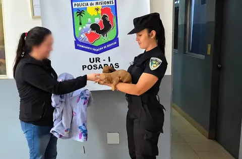 Insólito robo en Misiones: se llevó dos cachorras salchichas como forma de pago de una deuda