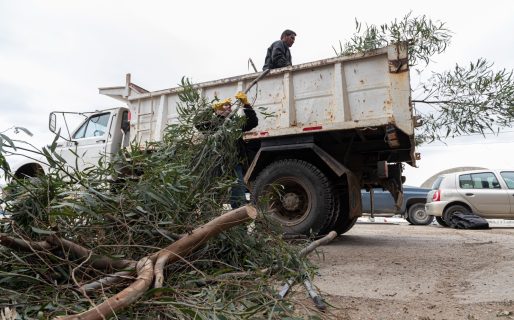 El Municipio refuerza los operativos de poda para mejorar la seguridad urbana