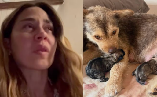 Jimena Barón se emocionó con el parto de su perra y mostró fotos: “Gracias por hacerme abuela”