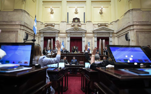 El Senado aprobó la amortización anticipada en Ganancias para inversiones desde los USD 12 millones