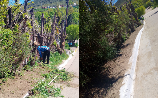 Pidió trabajo en un grupo de vecinos de Laprida y horas después agradeció por una changa