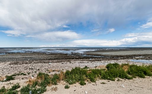 La Municipalidad ratificó la colocación de cartelería en la playa Stella Maris y remarcó que las medidas buscan ordenar la situación ambiental